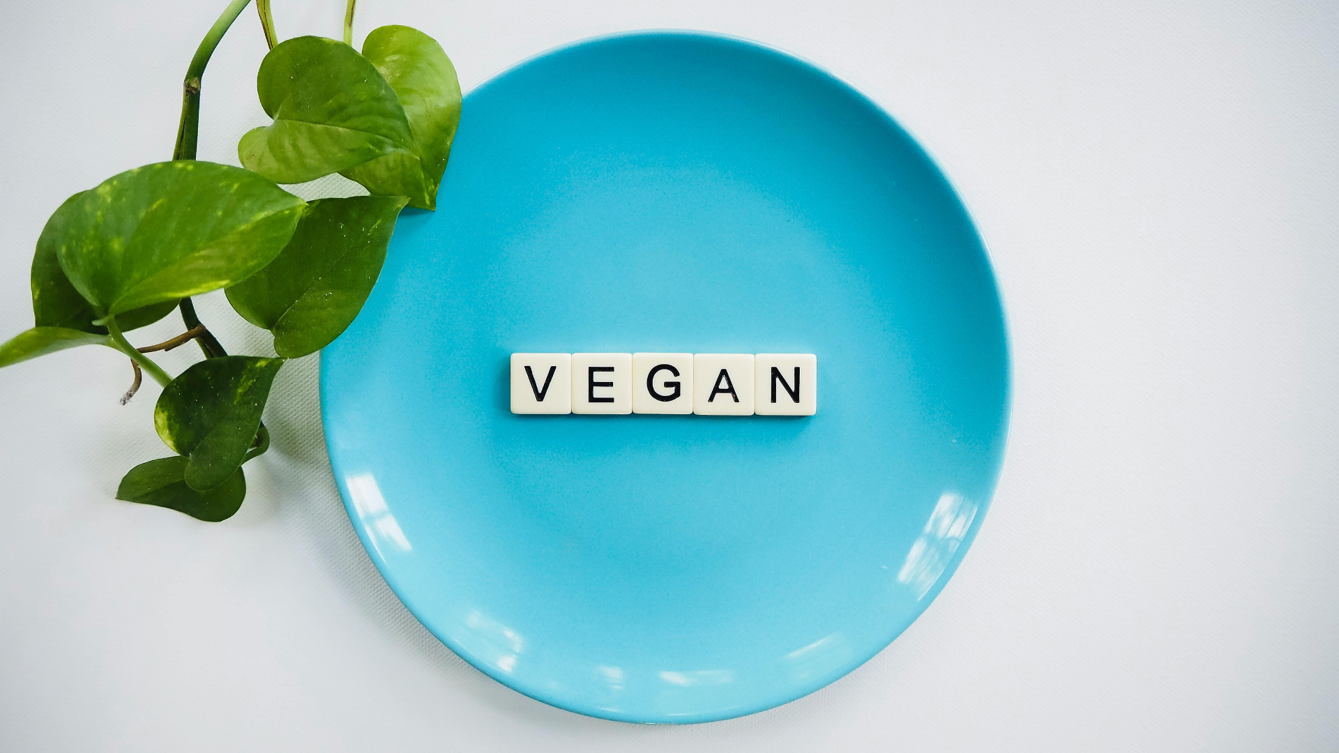 The Rise of Vegan Chips in Germany: What’s Behind the Trend?